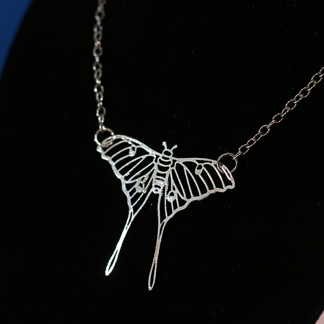 Accessories & Gifts