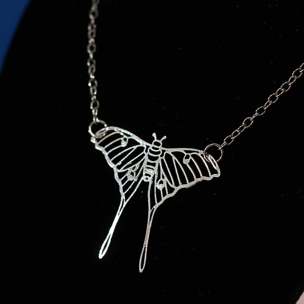 Accessories & Gifts