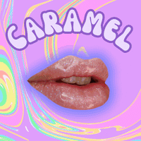 Dreamsicle Lip Gloss Range