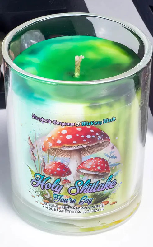 HOLY SHIITAKE, YOURE GAY - Lime Splice Sorbet Candle